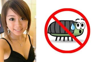 fix your wordpress bugs