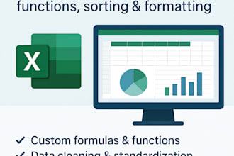 automate, format, and clean excel data professionally