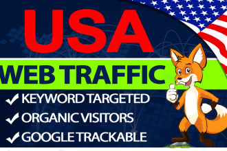 bring keyword targeted organic USA web traffic