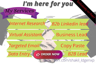 be a virtual assistant for internet research and data entry