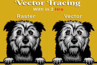 do manual vector tracing, remake, update, recreate logo