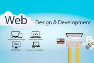 design and develop website or web portal for you