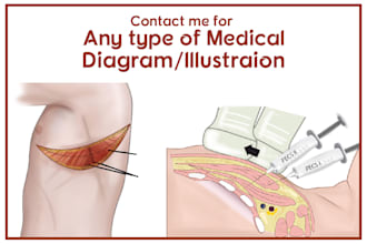 make medical or scientific illustrations, diagrams