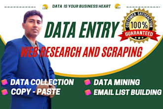 be your professional data entry operator