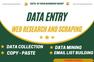 professional data entry services and virtual assistant