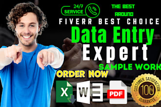 do data entry, web research, and lead generation in excel and google sheets