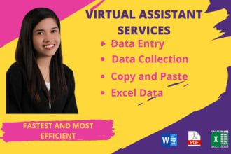 be your virtual assistant, do data entry, accounting services and admin support