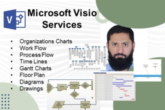 create organization charts, flowchart, infographic, timelines in microsoft visio