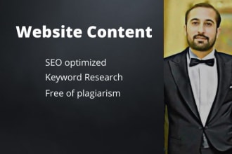 write professional website content