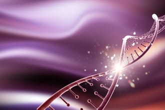 perform 12 strands dna activation healing