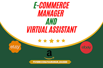 be your ecommerce manager and virtual assistant