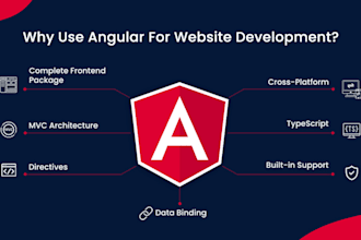 develop angular single page app