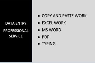 provide accurate data entry typing retype scanned pages