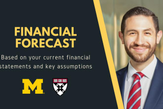 review or generate your pro forma financial statement forecast