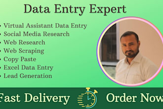 do web research, web scraping, copy paste, excel data entry