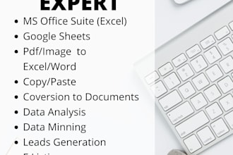 data entry guru, turning raw data into valuable insights