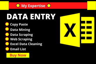do excel data entry, web scraping, mining, email lists and VA services
