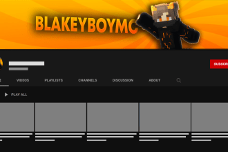 make you a professional minecraft pfp and banner