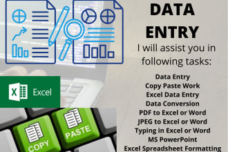 do data entry, copy paste and excel data entry work for you
