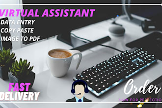 do copypaste,typing work, data entry ,other online tasks