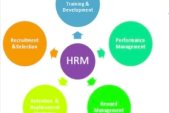 write human resource, leadership and project management