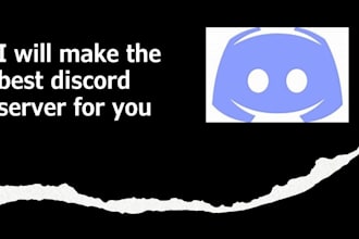 make you a professional discord server
