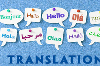 translate documentries fast and efficient