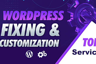 do website customization and fixing