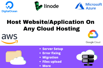 setup vps server on AWS, hostinger, digital ocean