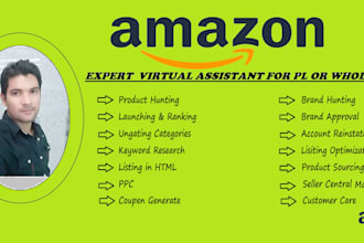 be your expert pl and wholesale amazon  virtual assistant