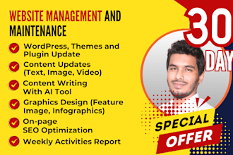 provide website management and maintenance service