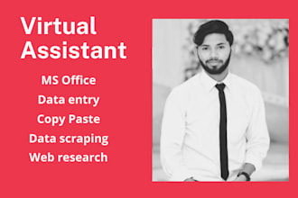 data entry ,web research and data scrapping