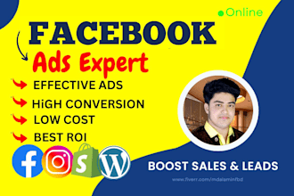 setup shopify facebook ads campaign, instagram ads, fb marketing for leads sales