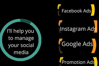 be your facebook ads manager and run fb ads campaigns