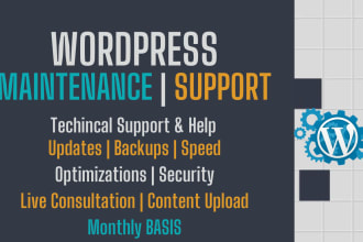 do wordpress maintenance, technical support or help