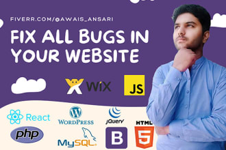 do revision and fix any bug  in your website