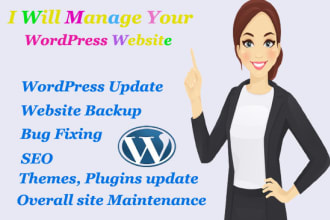 provide maintenance or support for your wordpress website