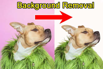 100 images background removal, cut out photos supper fast
