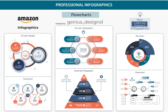 design professional infographics, flowcharts, pie charts and diagrams