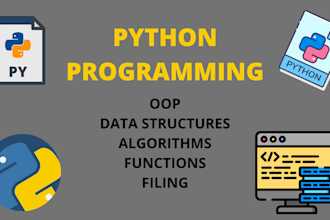 do your python projects or help you with your projects