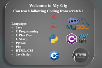 teach python, java, cpp, c sharp, c, windows form, and web programming tutor