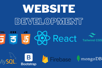 be frontend backend web developer for professional website