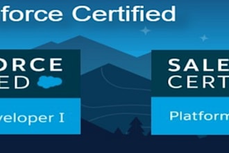 handle salesforce development, debugging and deployments