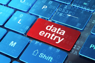 provide data entry, typing, transcription and web research