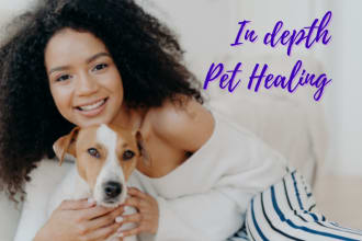 perform in depth energy healing session for your pet
