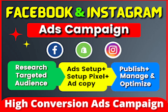 create and manage facebook ads campaign professionally