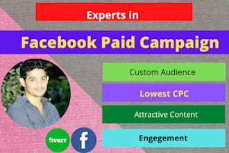 run facebook paid ads campaign for any business