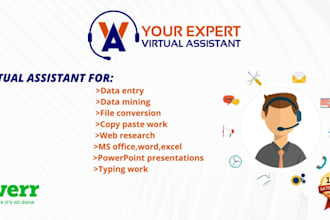 be working for you as VA, provide admin support, data entry