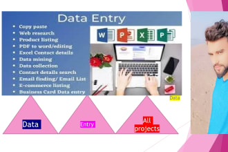 do data entry ,excel data entry , word and ppt data entry
