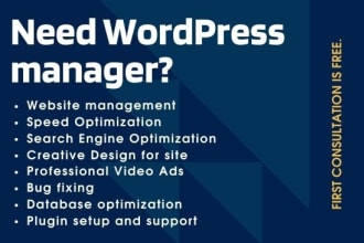 be your wordpress manager and professional website assistant
